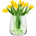TREND FOR HOME Glass Vase Large Height: 22.7 cm Vase for Pampas Grass Glass Flower Vase for Pampas Grass Vases Glass for Wedding Tulips Wide Opening Diameter 19 cm Zinnia