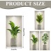 Fyihoxi Pack of 3 Wall Stickers Plants, 3D Wall Stickers with Green Plants, 45 x 23 cm, 3D Effect Wall Sticker Plants for Kitchen, Bedroom, Office, Wall Decoration