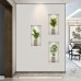Fyihoxi Pack of 3 Wall Stickers Plants, 3D Wall Stickers with Green Plants, 45 x 23 cm, 3D Effect Wall Sticker Plants for Kitchen, Bedroom, Office, Wall Decoration