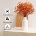 Hanaomaoyi Ceramic Vase for Pampas Grass, 20 cm White Matt Round Modern Design, Boho Vase for Living Room and Bedroom Decoration, Nordic Style