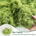 ROLLWAY 150 g Artificial Moss for Decorating, Artificial Moss for Crafts, Artificial Moss Decoration, Art Moss, Fake Decorative Moss Craft Moss for Wall, Nativity, Aquarium, Nativity Scene, Model