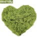 ROLLWAY 150 g Artificial Moss for Decorating, Artificial Moss for Crafts, Artificial Moss Decoration, Art Moss, Fake Decorative Moss Craft Moss for Wall, Nativity, Aquarium, Nativity Scene, Model