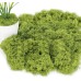 ROLLWAY 150 g Artificial Moss for Decorating, Artificial Moss for Crafts, Artificial Moss Decoration, Art Moss, Fake Decorative Moss Craft Moss for Wall, Nativity, Aquarium, Nativity Scene, Model