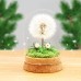 Wunscherfüller Dandelion in Glass - Special Gift Idea, Birthday Gift for Women, Lucky Charm and Small Item for Girlfriend, Decorative Gifts in Glass, Flowers Gift