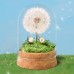 Wunscherfüller Dandelion in Glass - Special Gift Idea, Birthday Gift for Women, Lucky Charm and Small Item for Girlfriend, Decorative Gifts in Glass, Flowers Gift