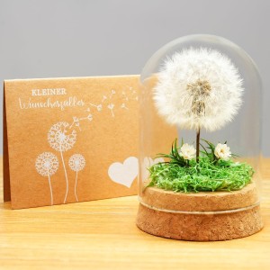 Wunscherfüller Dandelion in Glass - Special Gift Idea, Birthday Gift for Women, Lucky Charm and Small Item for Girlfriend, Decorative Gifts in Glass, Flowers Gift