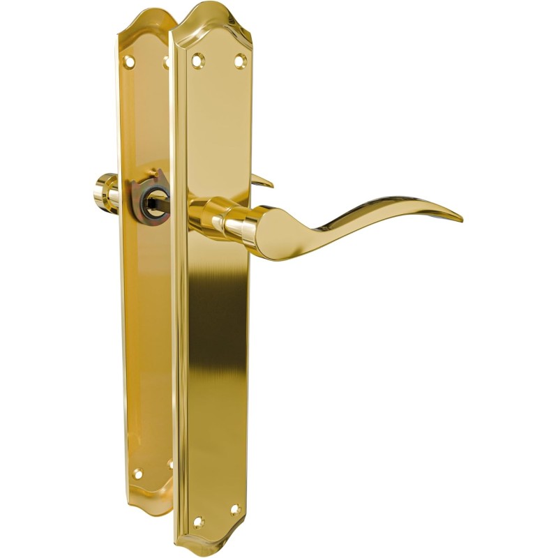 Amig - Türgriff-Set mit Platte | Griff Mod. BETA | Hergestellt aus Stahl | 256 x 48 mm | Vierkantstift 8 mm | Matt vermessingt