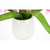 Artificial Flower Orchid Dendrobium 38 cm with Leaves in Planter Artificial Flower Artificial Orchid Artificial Phalaenopsis Like Real Orchid Branches Artificial Plant Plant Wedding Decoration Silk