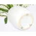 Artificial Flower Orchid Dendrobium 38 cm with Leaves in Planter Artificial Flower Artificial Orchid Artificial Phalaenopsis Like Real Orchid Branches Artificial Plant Plant Wedding Decoration Silk