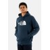 THE NORTH FACE Herren Drew Peak Kapuzenpullover